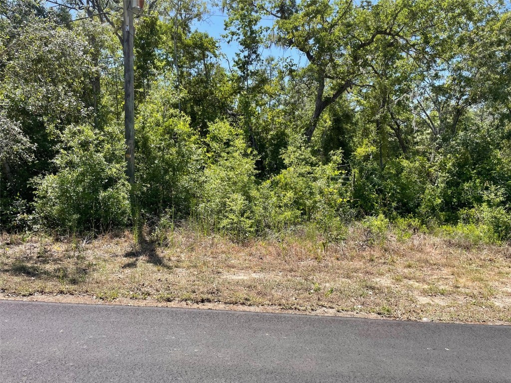 5437 W Cinnamon Ridge Drive Lecanto FL 34461 OM700647 image1