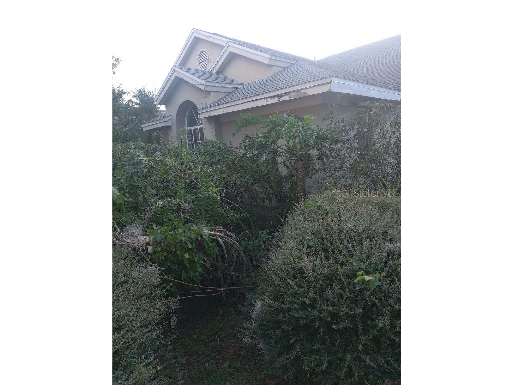 5437 Windbrush Drive Tampa FL 33625 TB8308966 image1