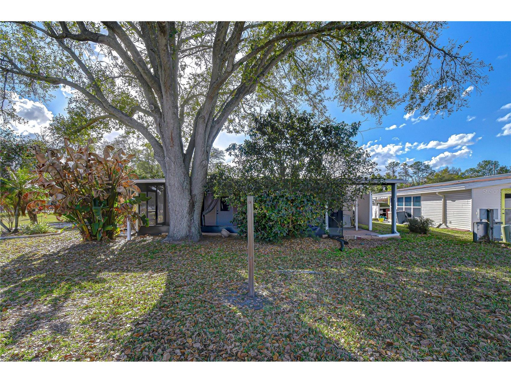 5438 Antigua Drive Zephyrhills FL 33541 TB8485128 image18