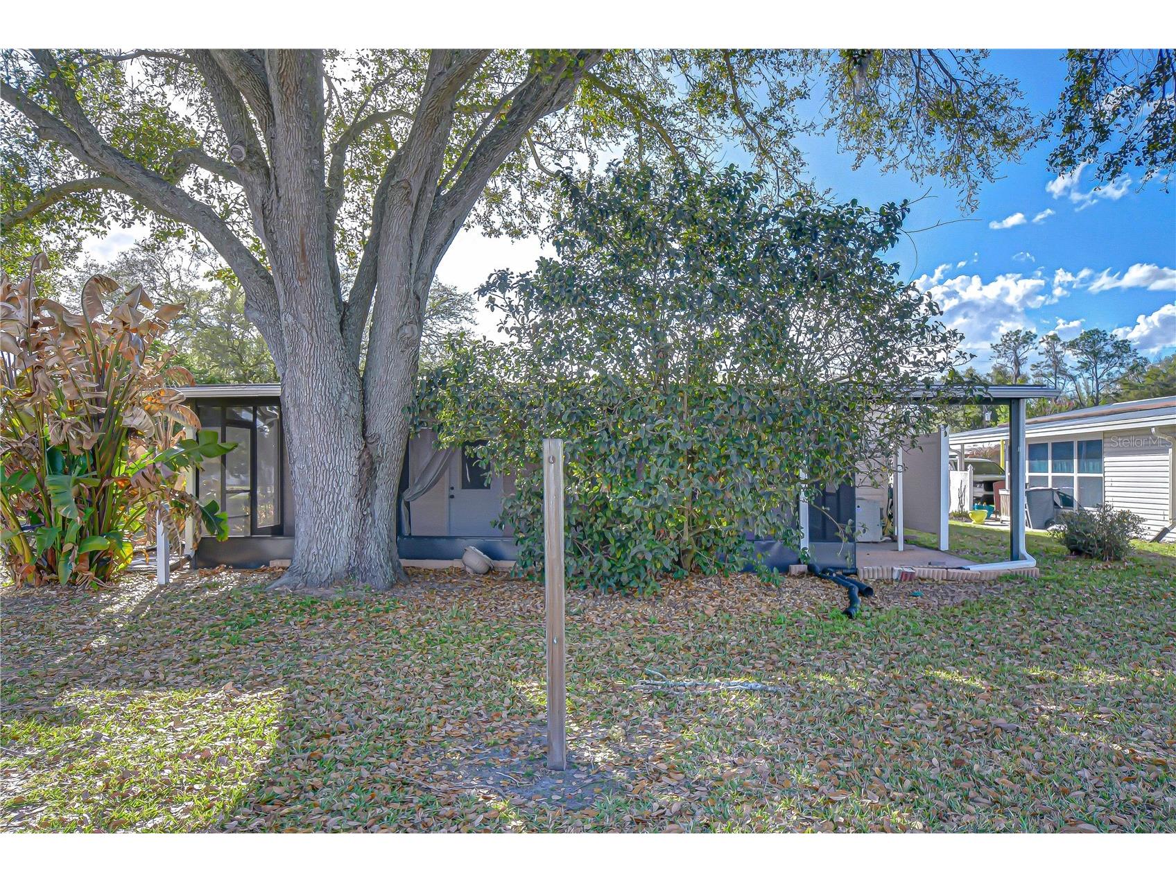 5438 Antigua Drive Zephyrhills FL 33541 TB8485128 image19