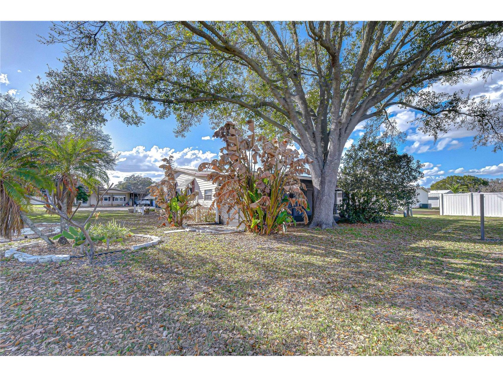 5438 Antigua Drive Zephyrhills FL 33541 TB8485128 image22