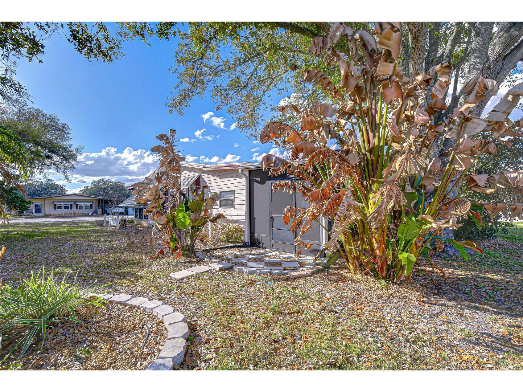 5438 Antigua Drive Zephyrhills FL 33541 TB8485128 image23