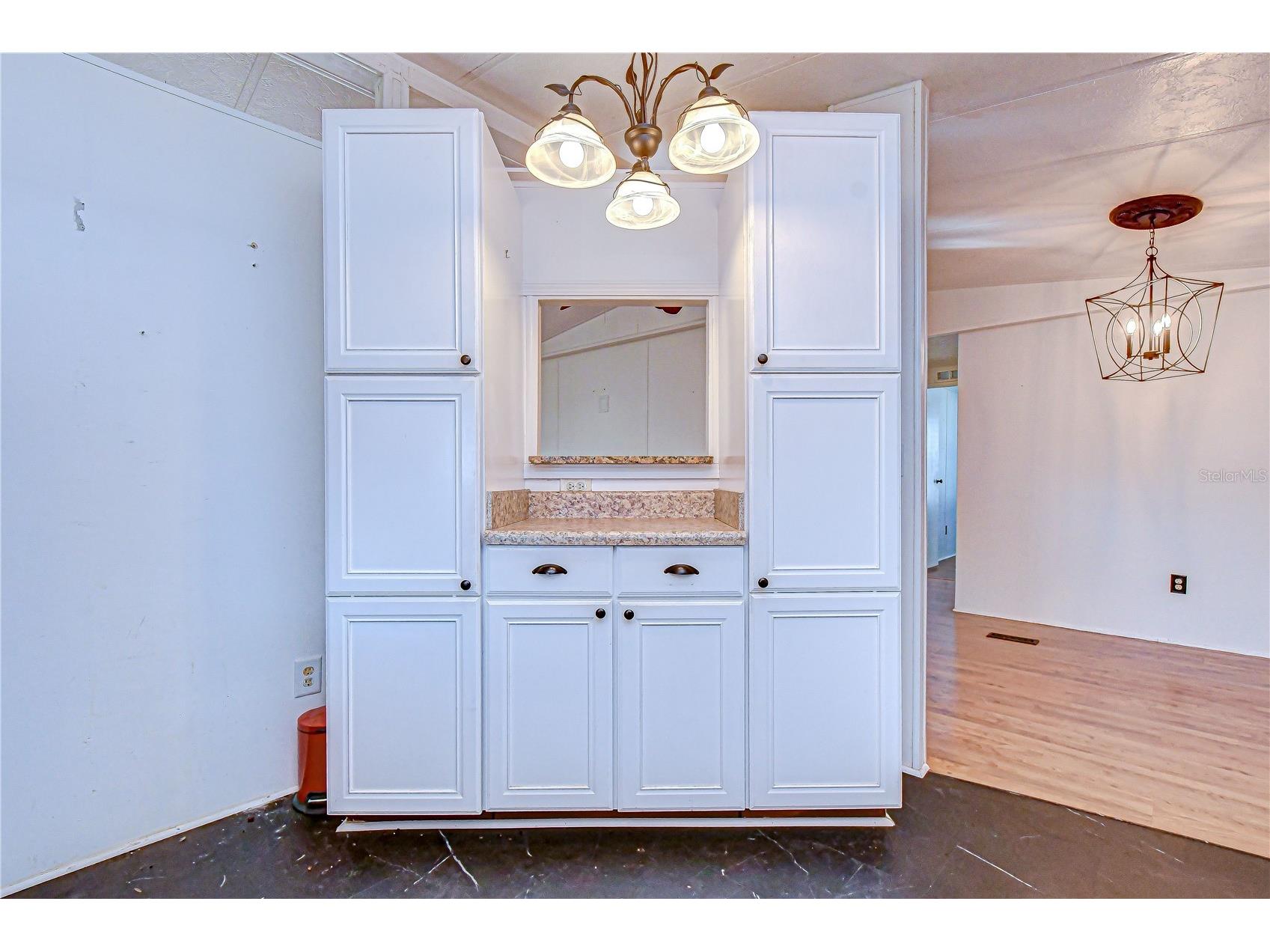 5438 Antigua Drive Zephyrhills FL 33541 TB8485128 image39