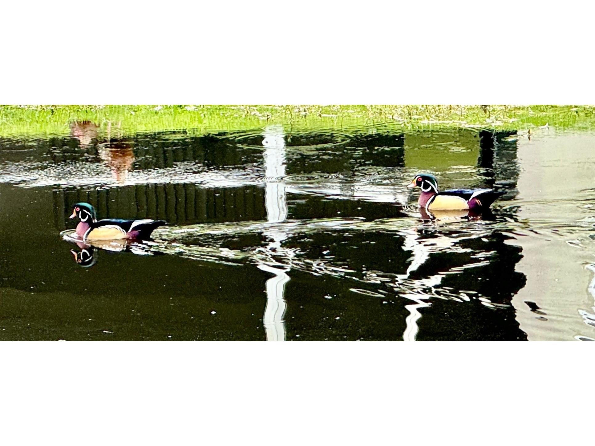 5438 Cartagena Drive Sarasota FL 34233 A4666008 image53