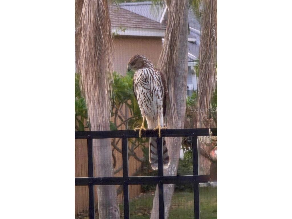 5438 Cartagena Drive Sarasota FL 34233 A4666008 image58