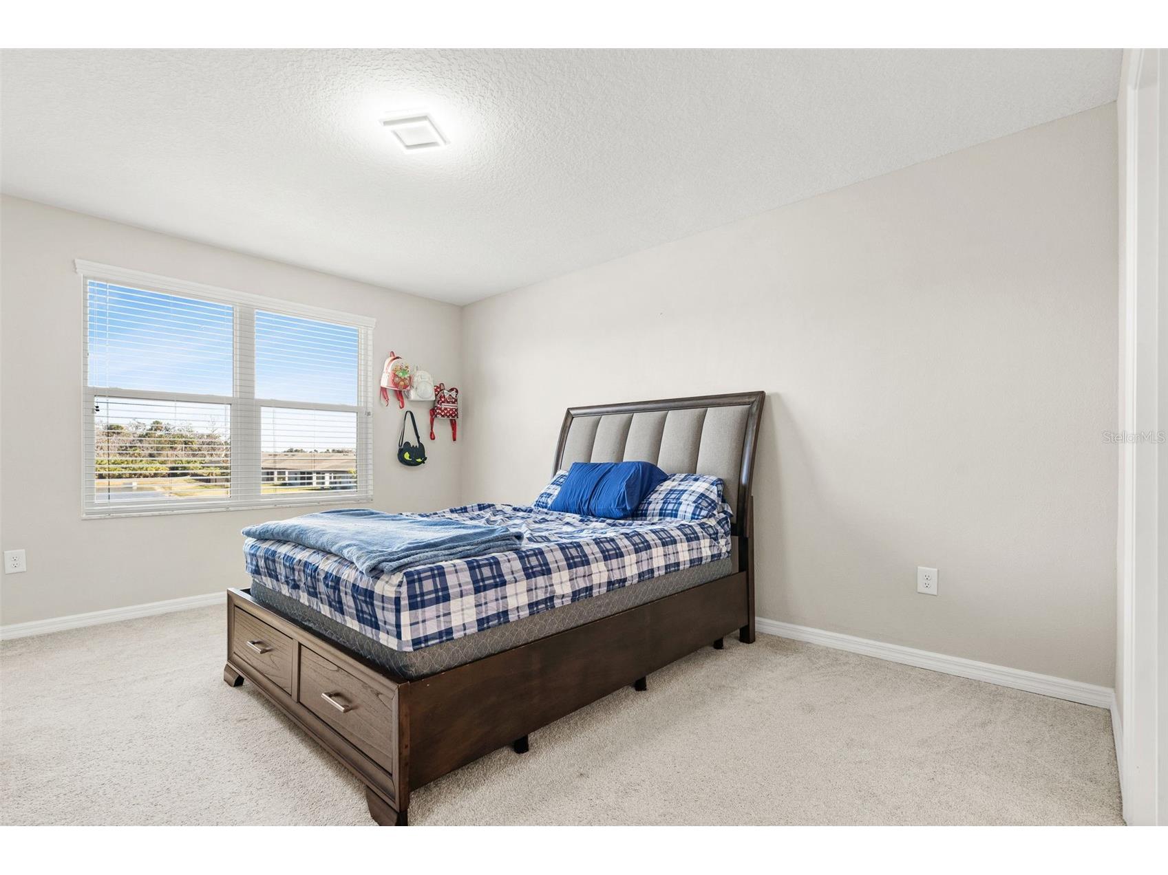 5438 Tripoli Drive Palmetto FL 34221 A4681572 image13
