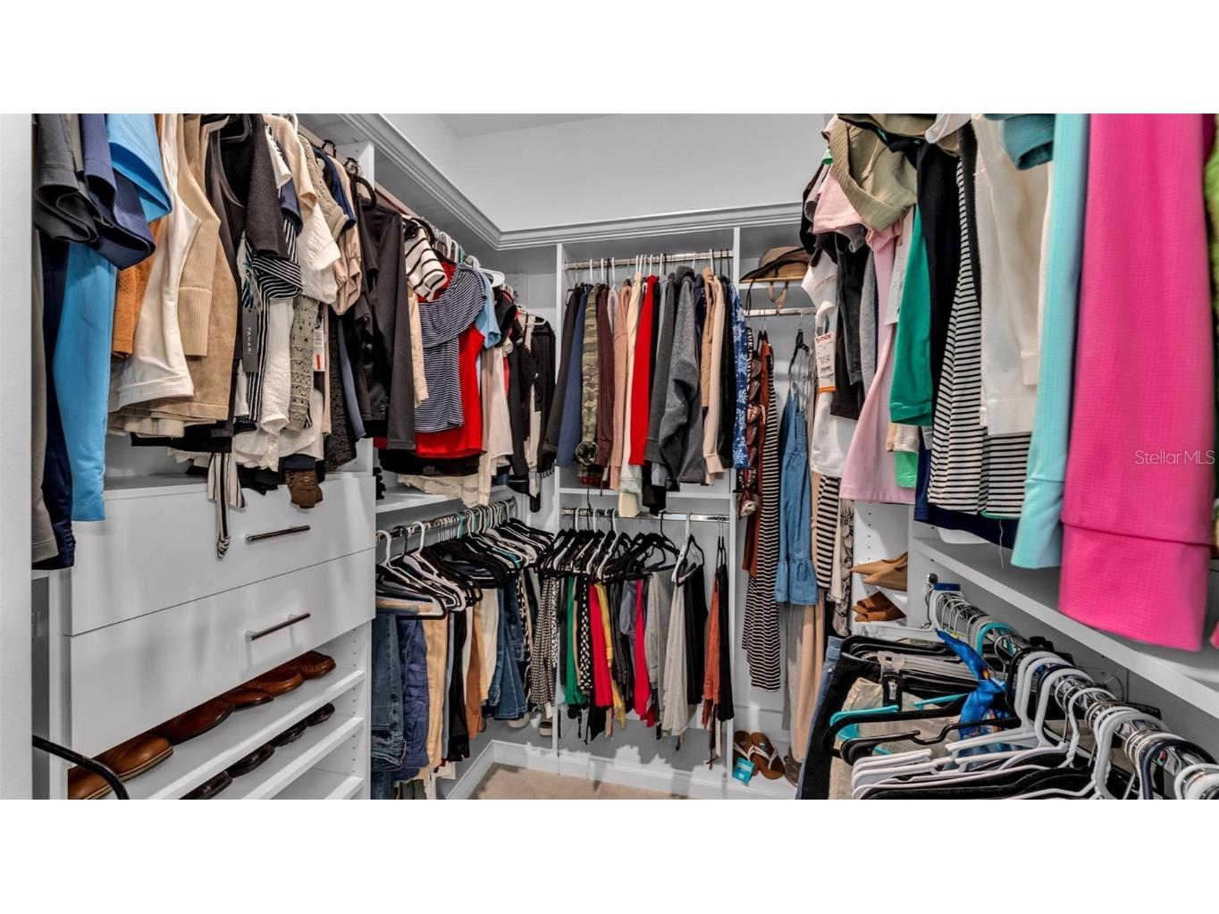 5439 Orange Orchard Drive Winter Garden FL 34787 L4957156 image13