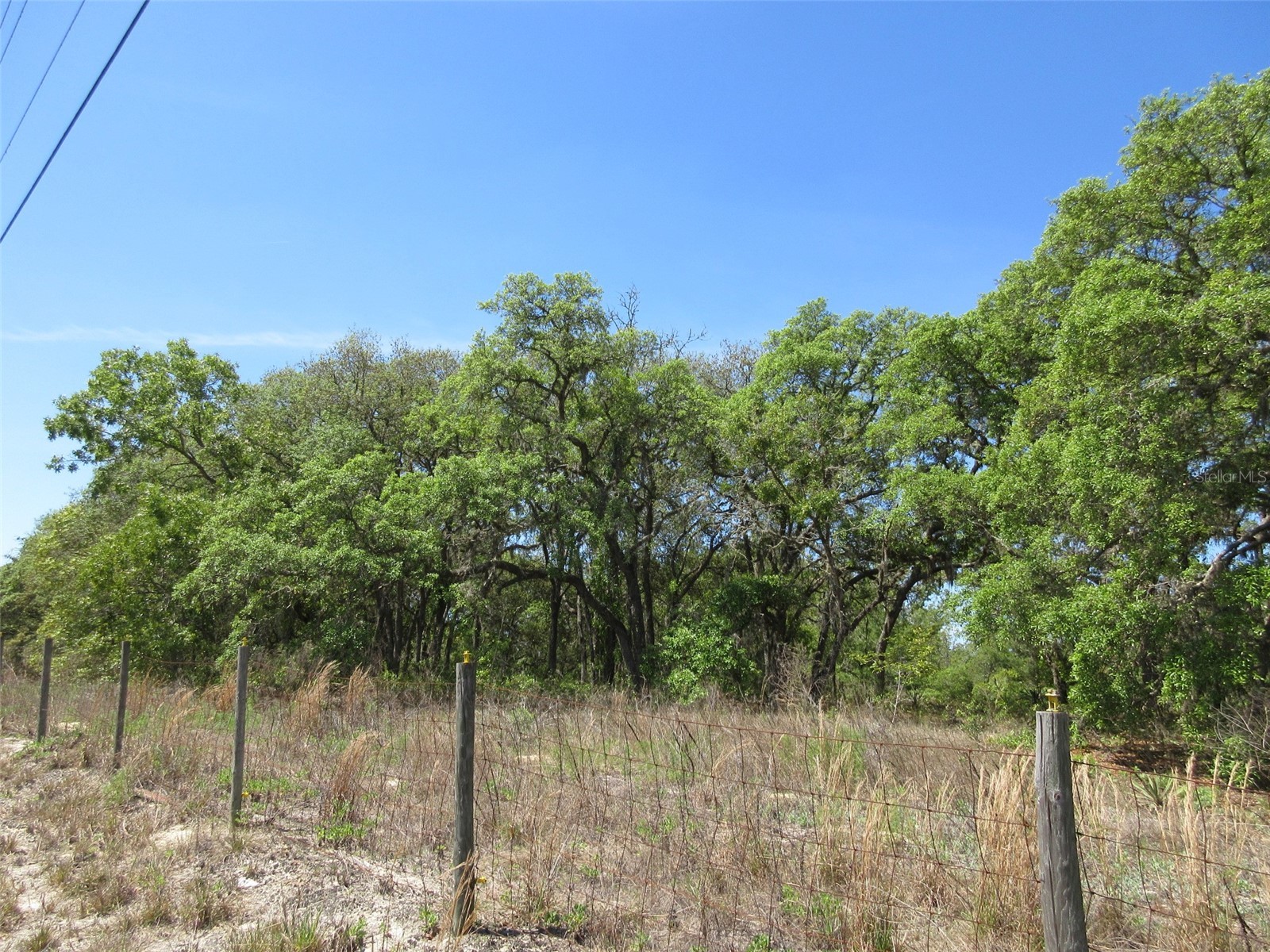 5439 W Oakhill Street Dunnellon FL 34433 OM722833 image1