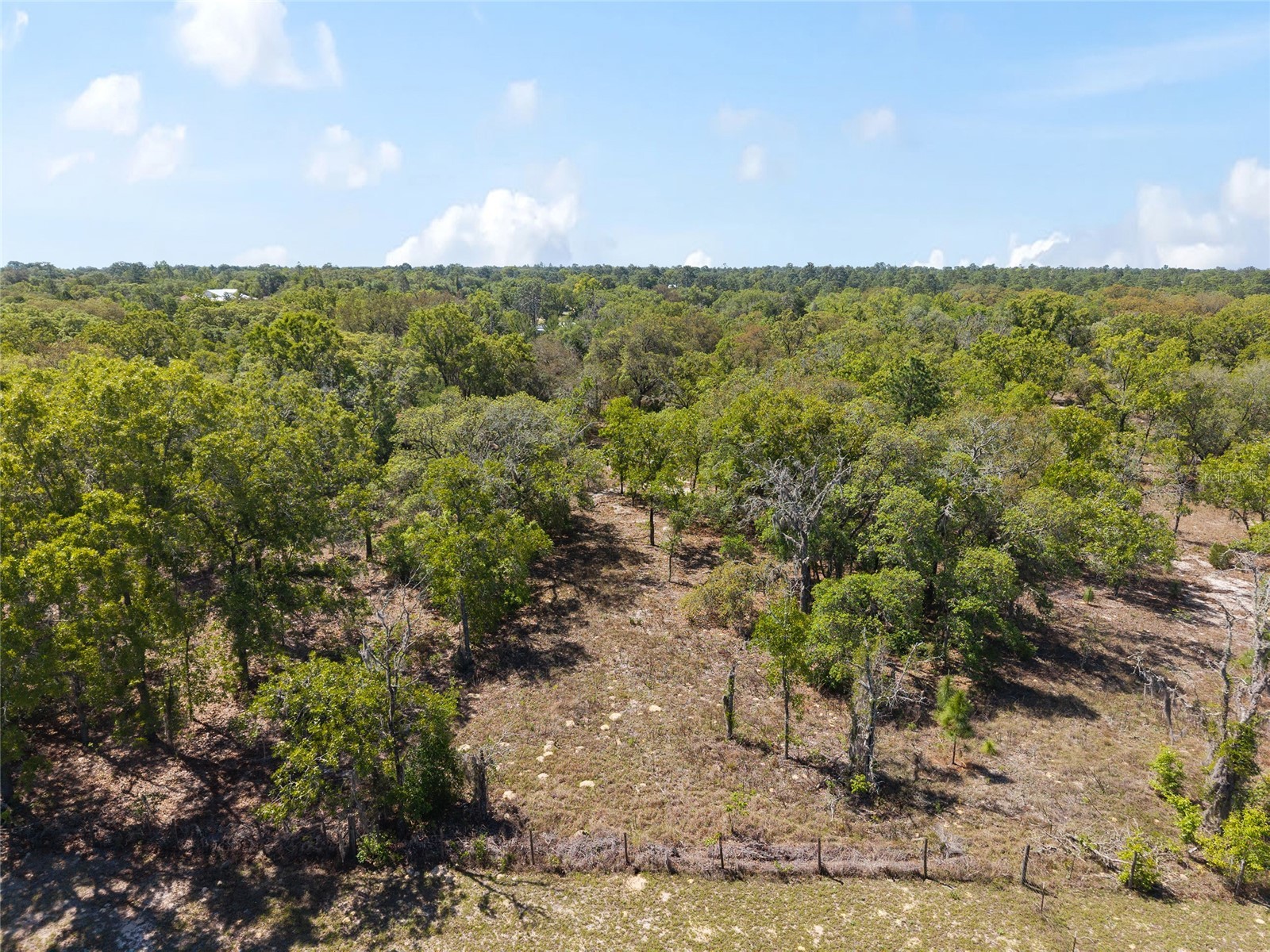 5439 W Oakhill Street Dunnellon FL 34433 OM722833 image12