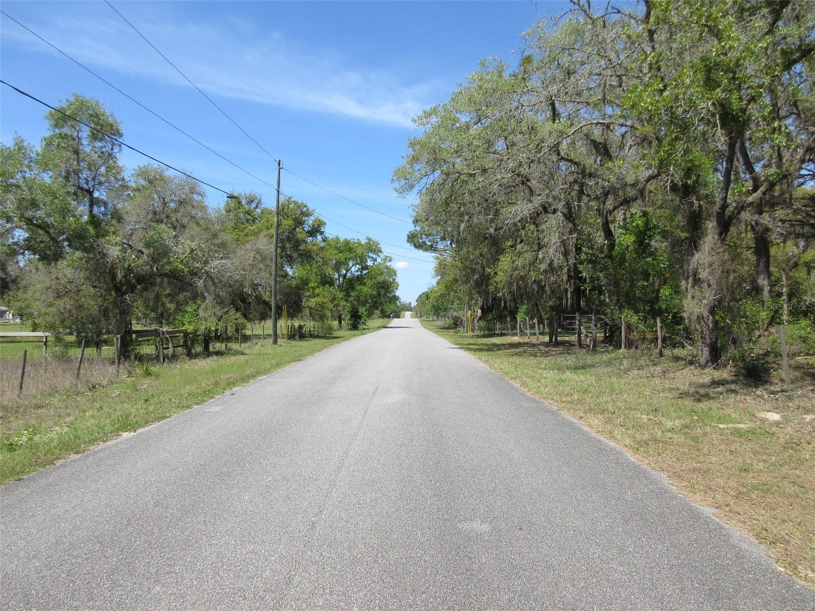 5439 W Oakhill Street Dunnellon FL 34433 OM722833 image4