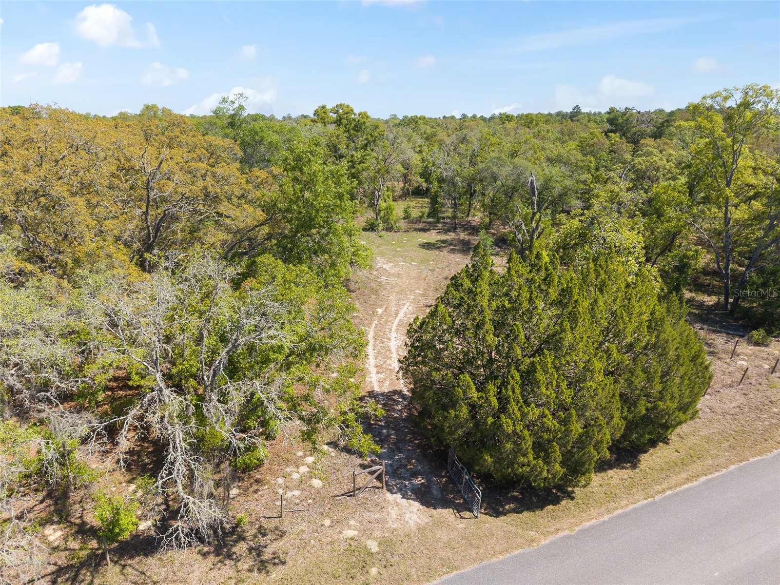 5439 W Oakhill Street Dunnellon FL 34433 OM722833 image7