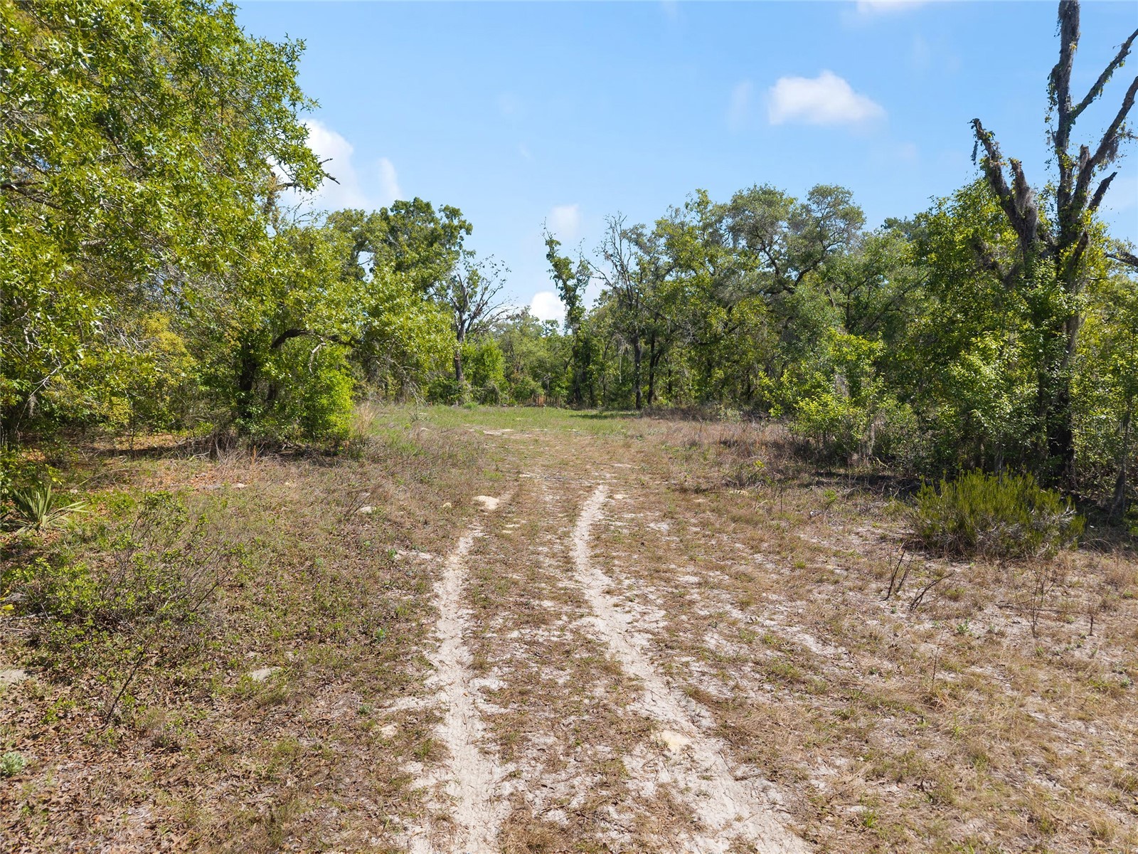 5439 W Oakhill Street Dunnellon FL 34433 OM722833 image8