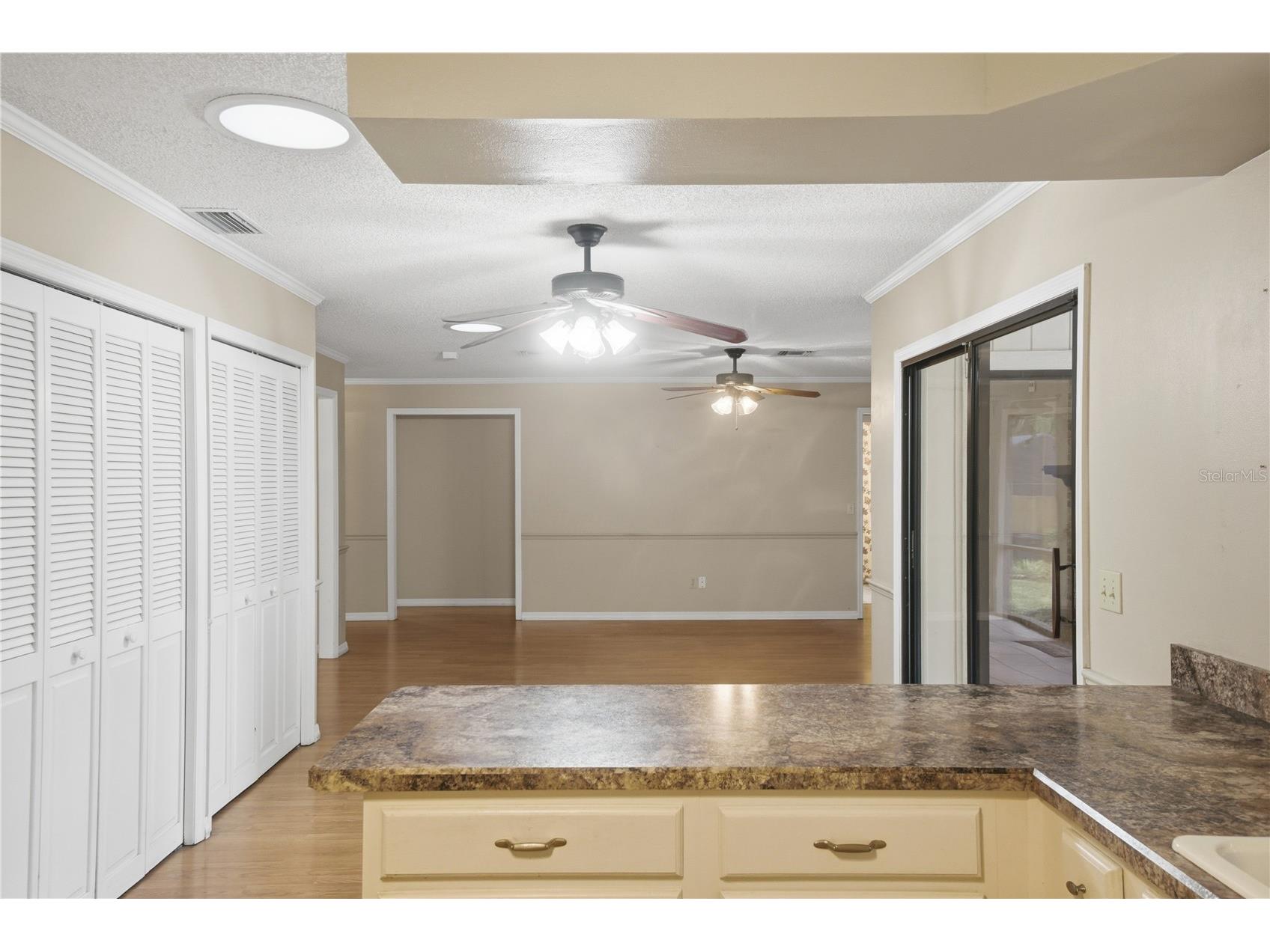 544 Black Ironwood Drive Deland FL 32724 V4948715 image18