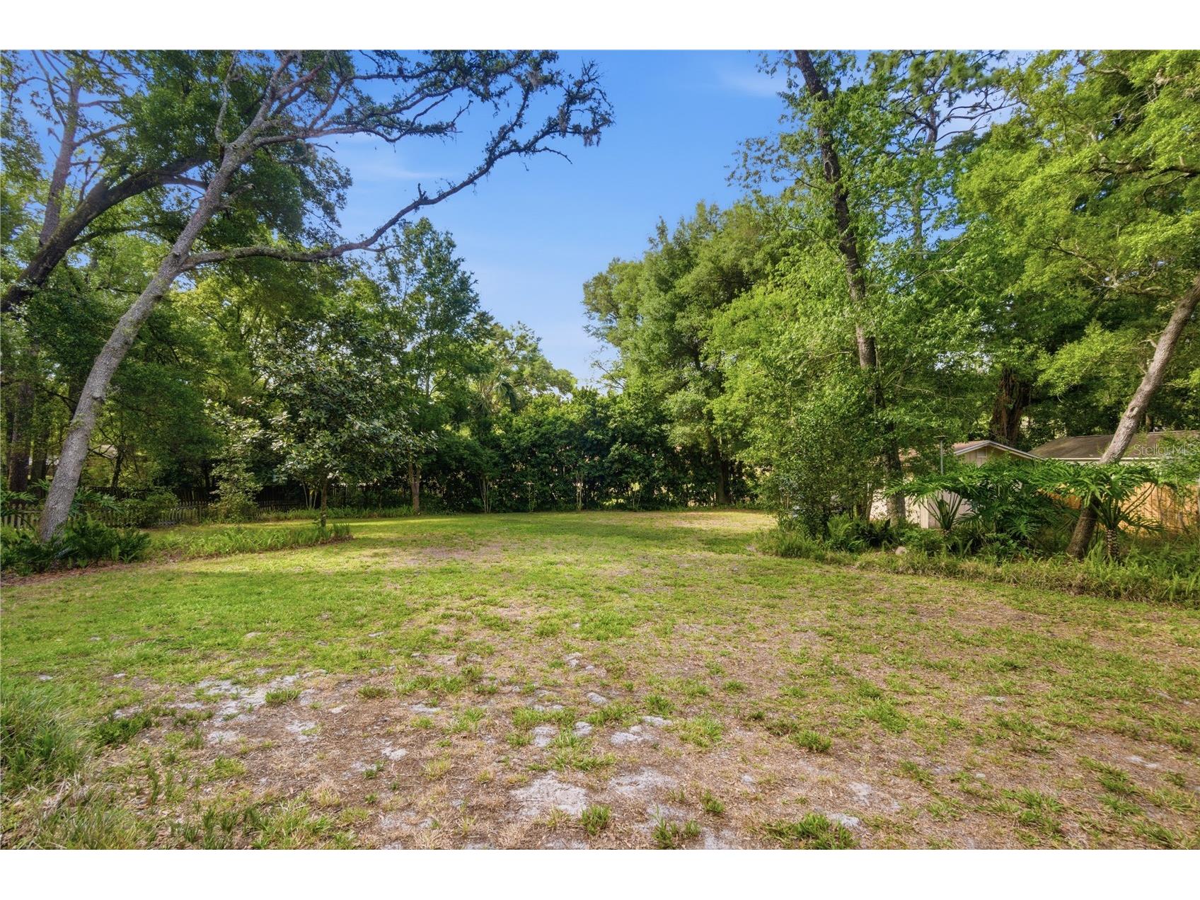 544 Black Ironwood Drive Deland FL 32724 V4948715 image9