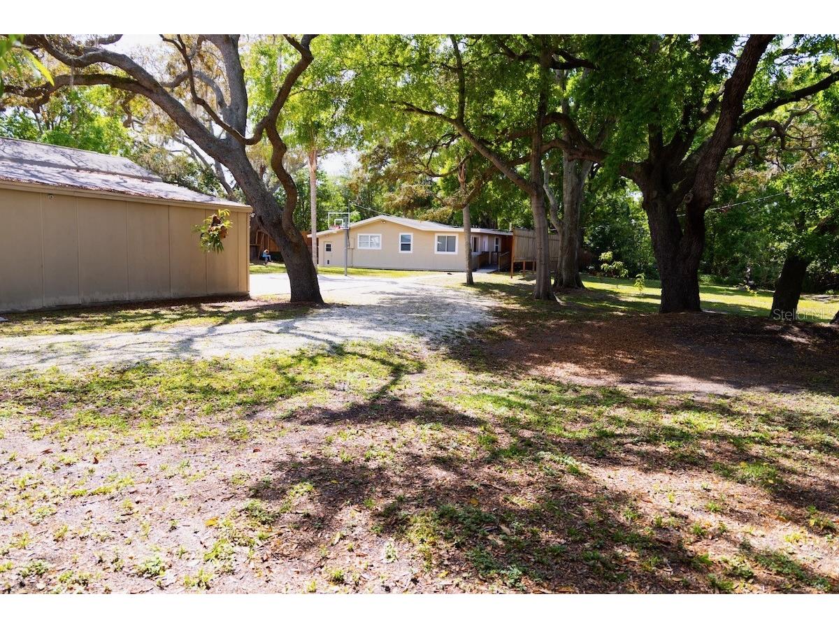 544 Farnum Drive Tarpon Springs FL 34689 O6372895 image1