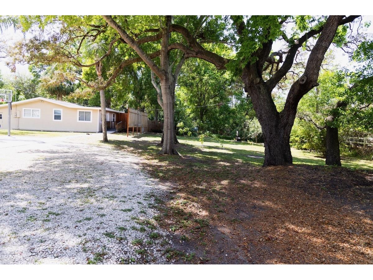 544 Farnum Drive Tarpon Springs FL 34689 O6372895 image21