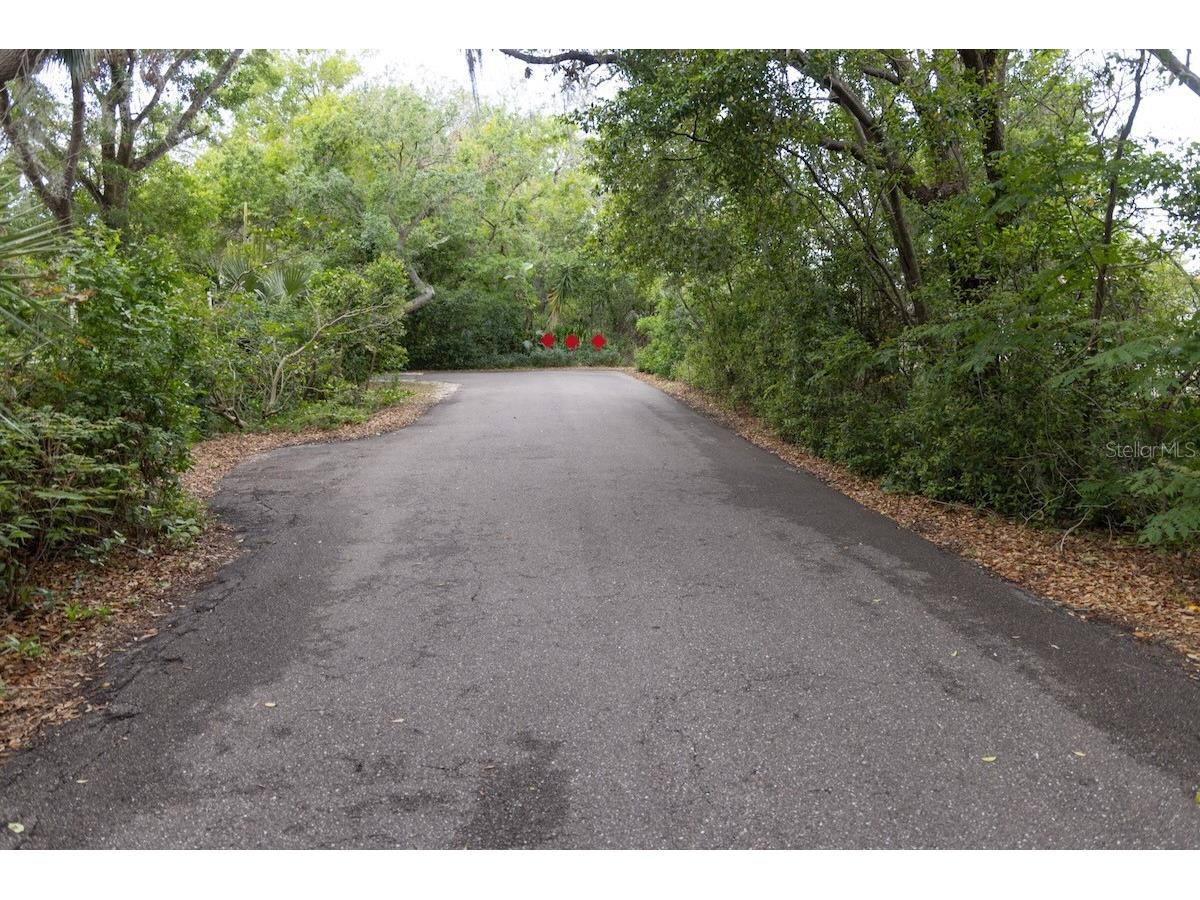 544 Farnum Drive Tarpon Springs FL 34689 O6372895 image26