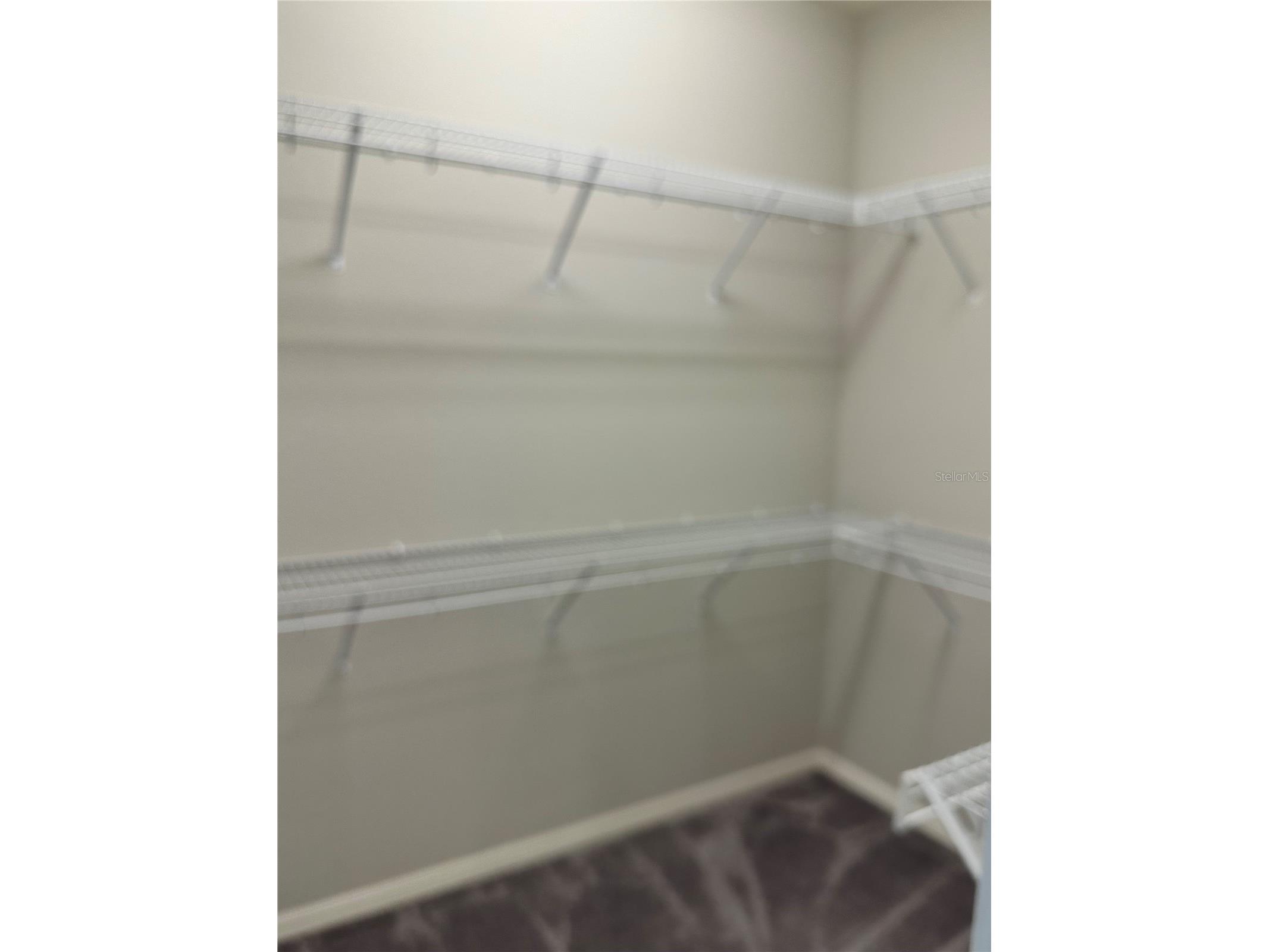 544 Gadsden Lane Polk City FL 33868 O6407343 image21