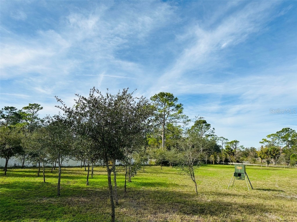 544 Murray Street Osteen FL 32764 O6170483 image1