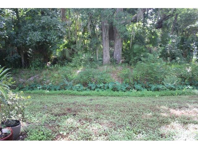 544 Tall Oaks Terrace Longwood FL 32750 O6396491 image14