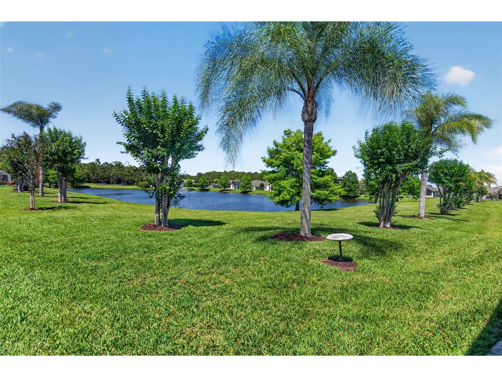 5440 Canna Court Port Orange FL 32128 NS1088285 image44