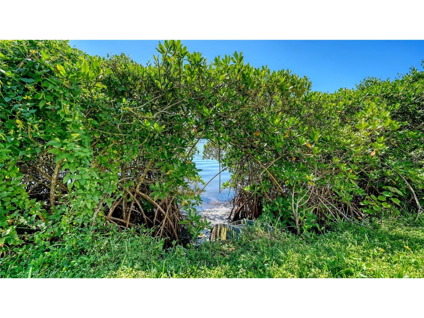 5440 Eagles Point Circle #104 Sarasota FL 34231 - PHILLIPI CREEK A4672521 image39