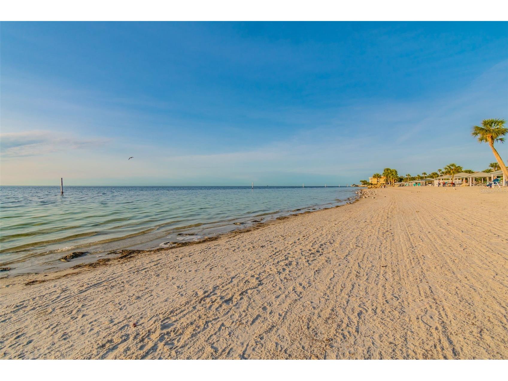 5440 Leahy Lane New Port Richey FL 34652 TB8499721 image42