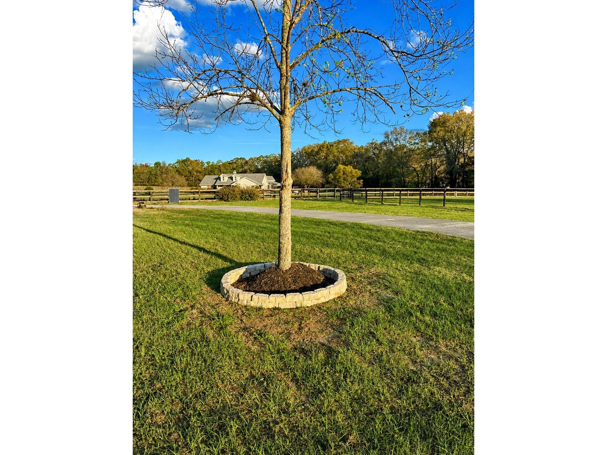 5440 NE 31st Terrace Ocala FL 34479 O6402756 image45