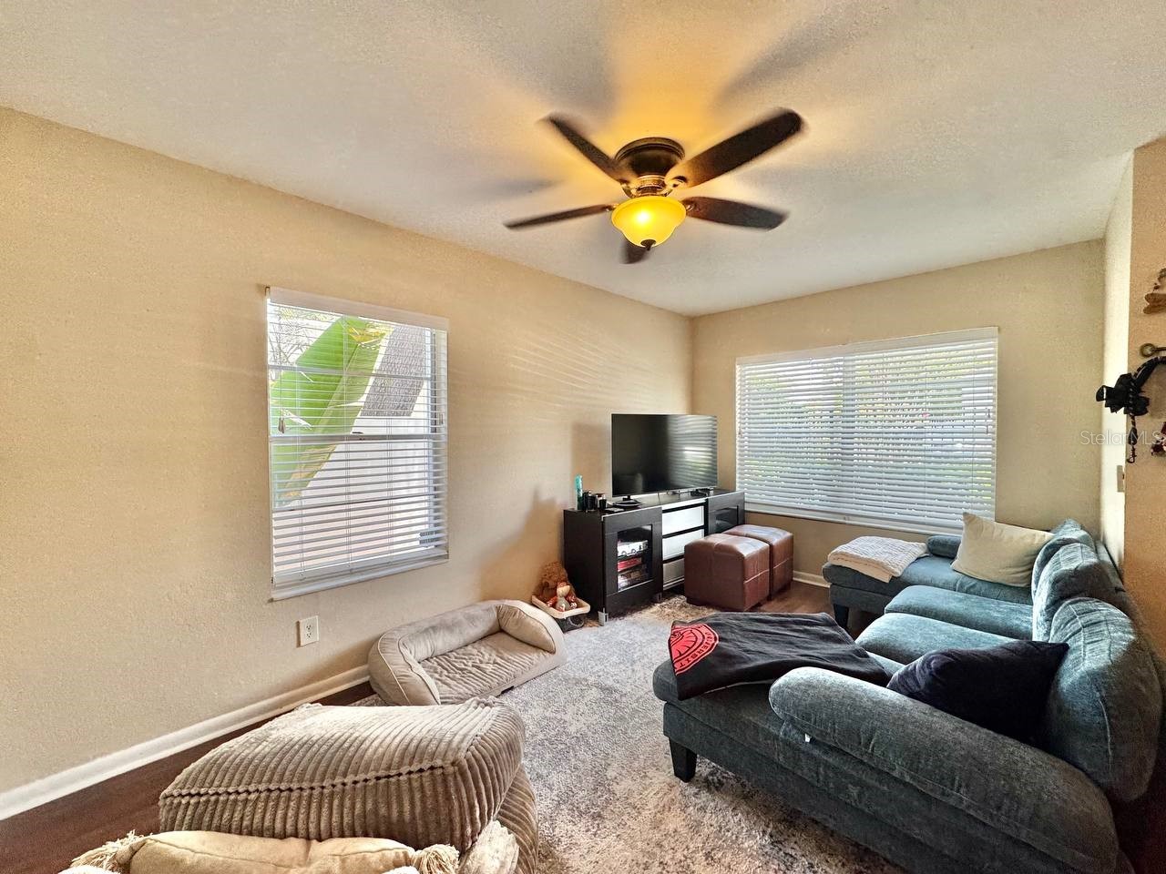 5440 S Macdill Avenue #1F Tampa FL 33611 TB8512366 image5