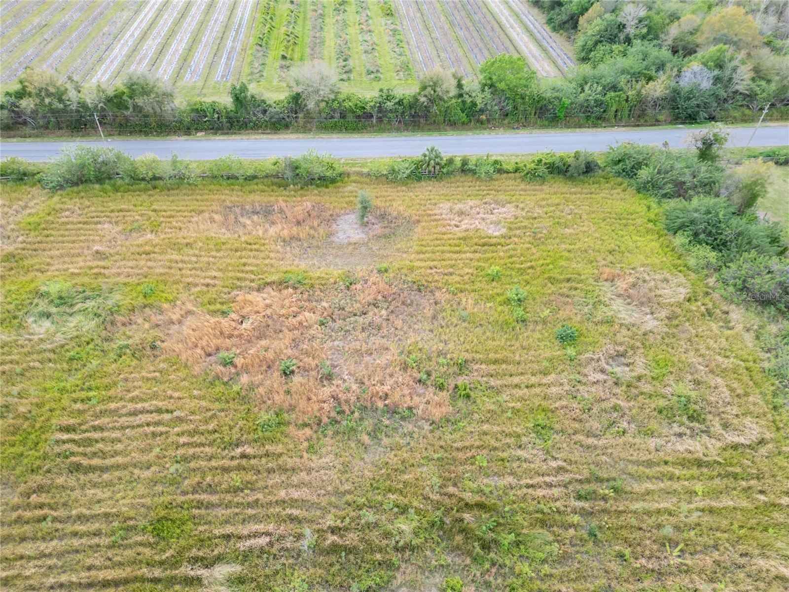 5441 Janes Drive Wimauma FL 33598 T3505957 image1