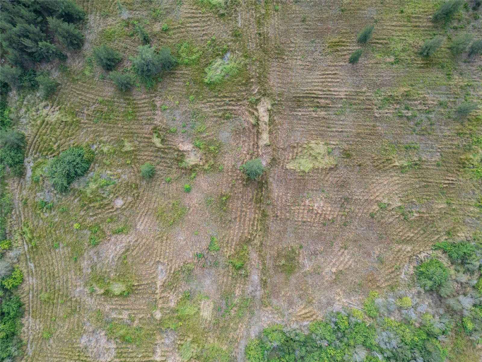 5441 Janes Drive Wimauma FL 33598 T3505957 image11