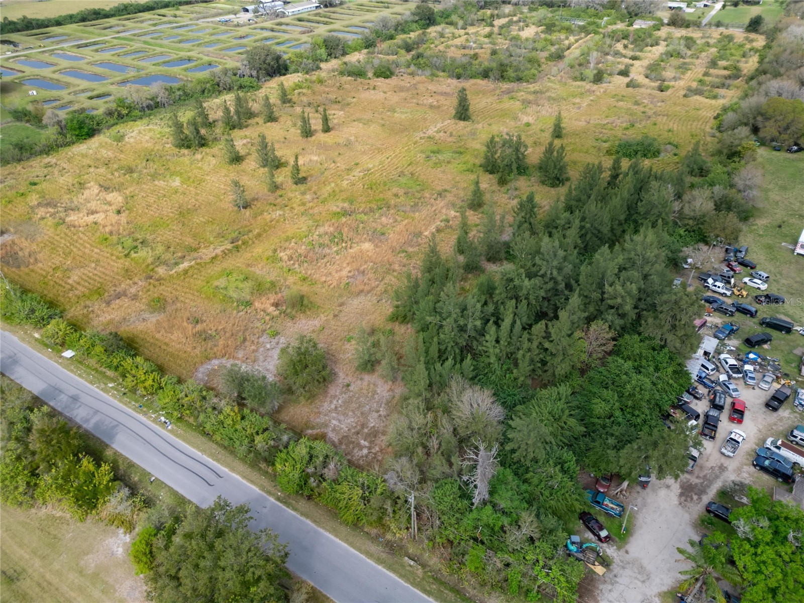 5441 Janes Drive Wimauma FL 33598 T3505957 image12