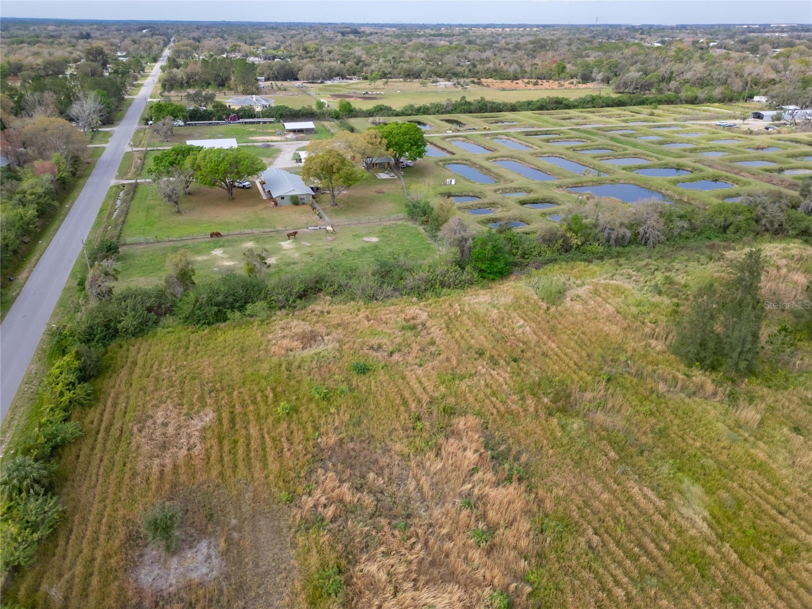 5441 Janes Drive Wimauma FL 33598 T3505957 image14