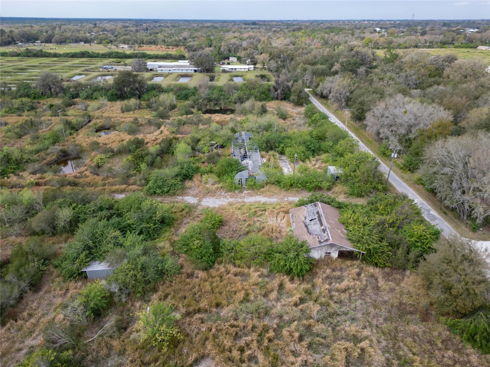 5441 Janes Drive Wimauma FL 33598 T3505957 image19