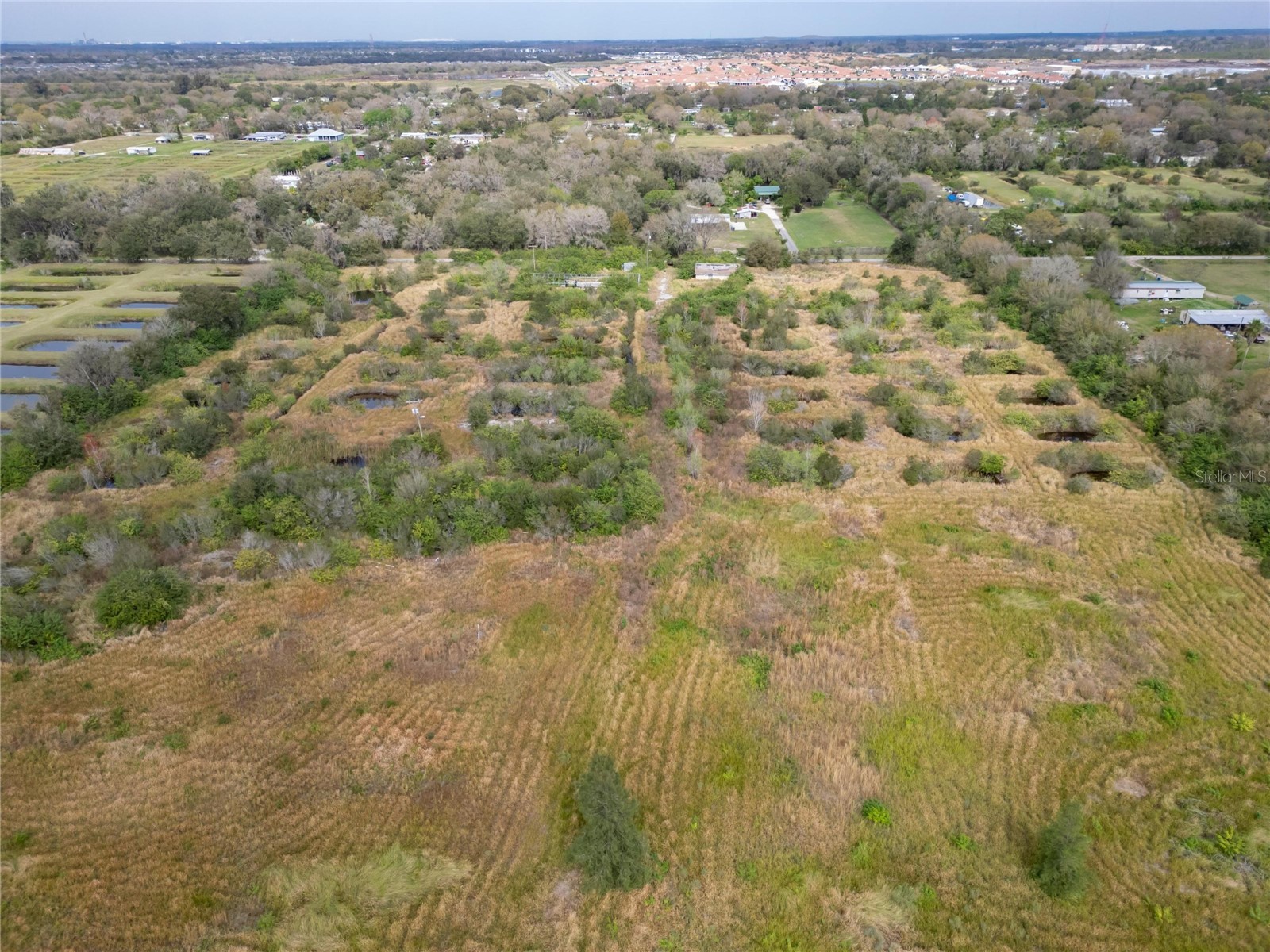 5441 Janes Drive Wimauma FL 33598 T3505957 image2