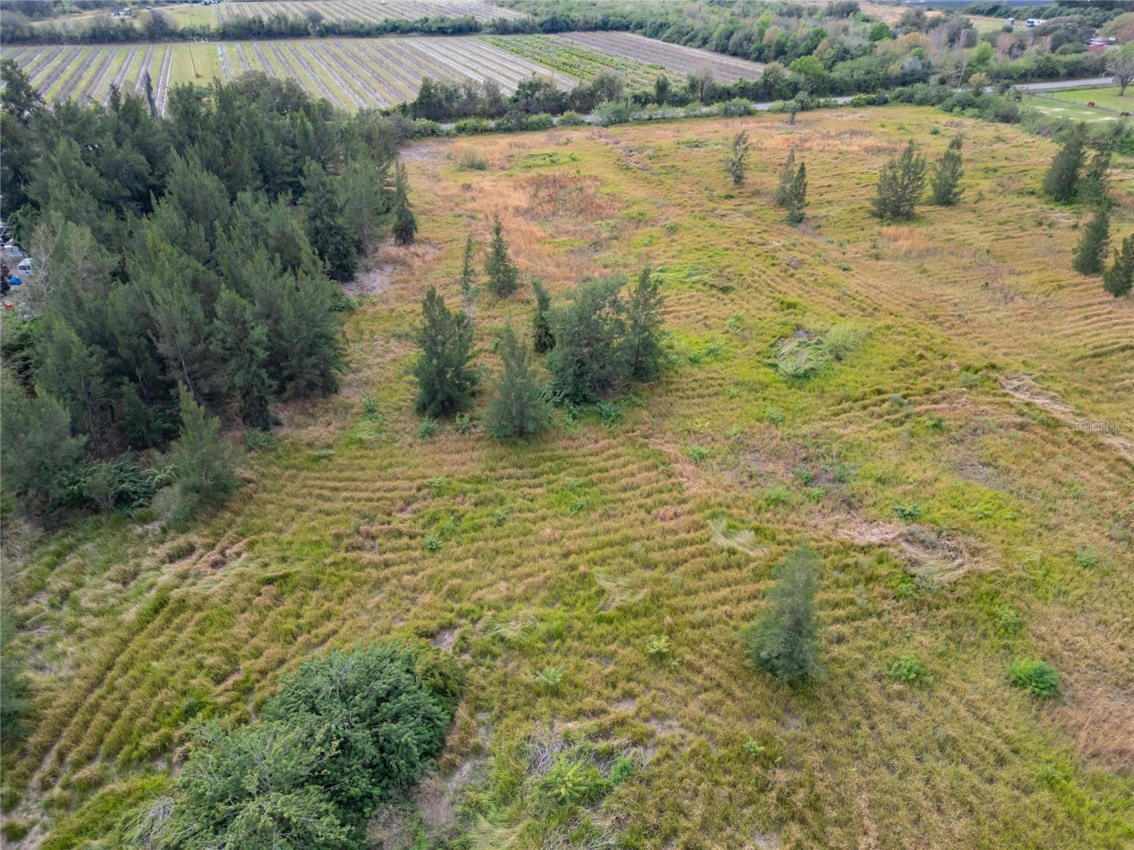 5441 Janes Drive Wimauma FL 33598 T3505957 image3