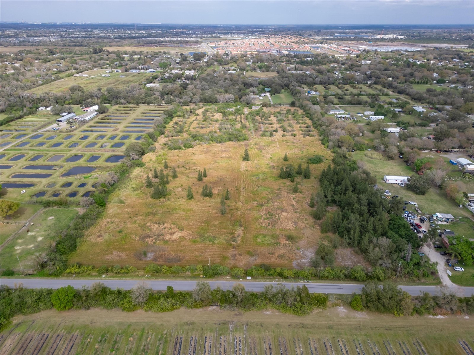 5441 Janes Drive Wimauma FL 33598 T3505957 image4