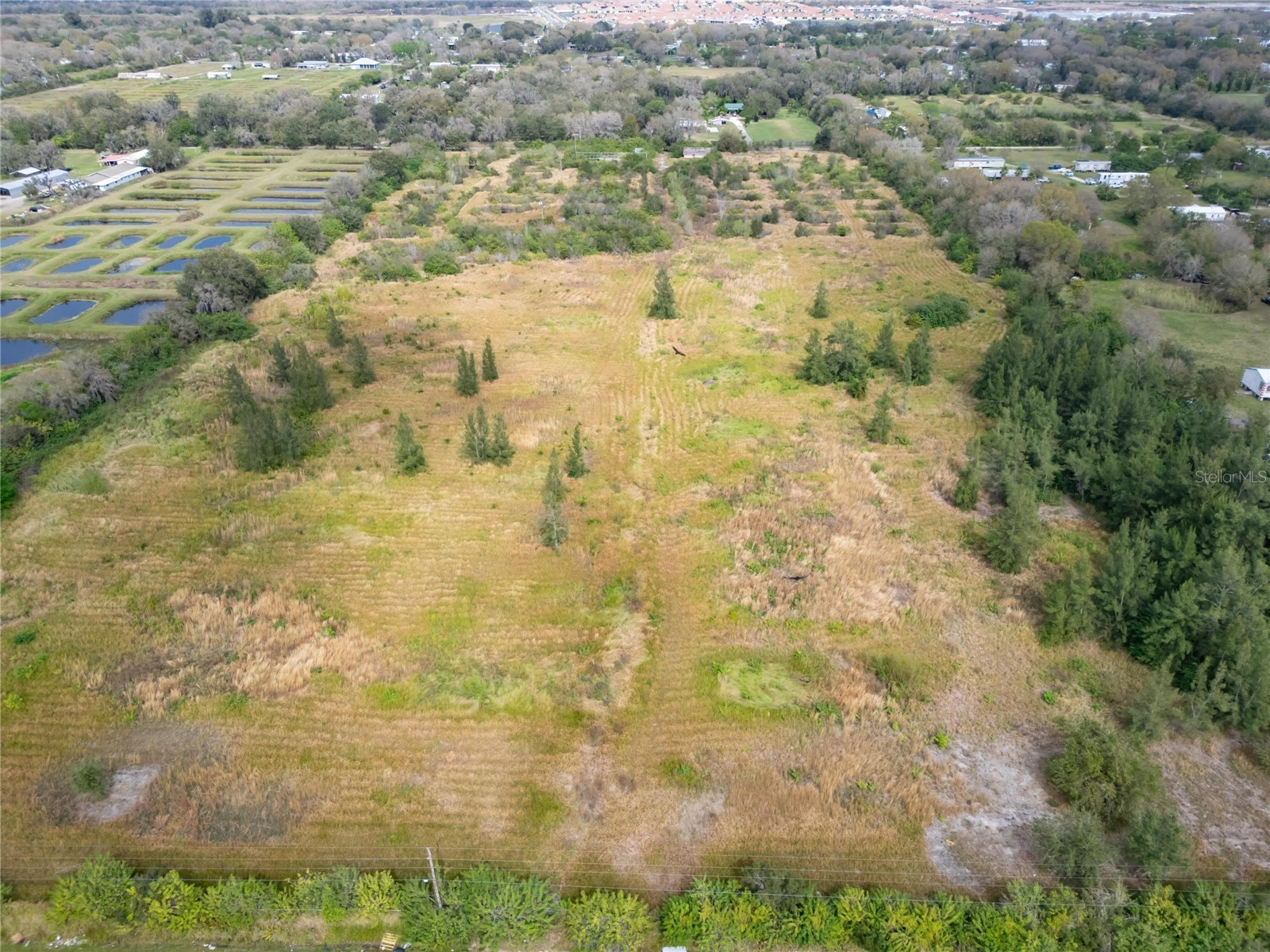 5441 Janes Drive Wimauma FL 33598 T3505957 image5