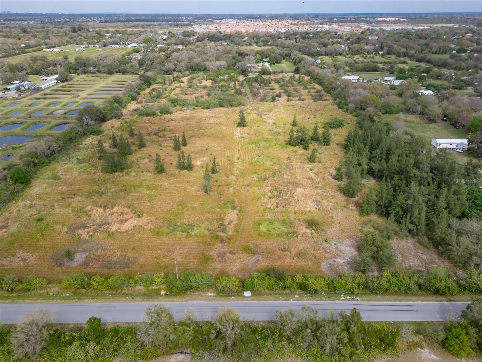 5441 Janes Drive Wimauma FL 33598 T3505957 image6