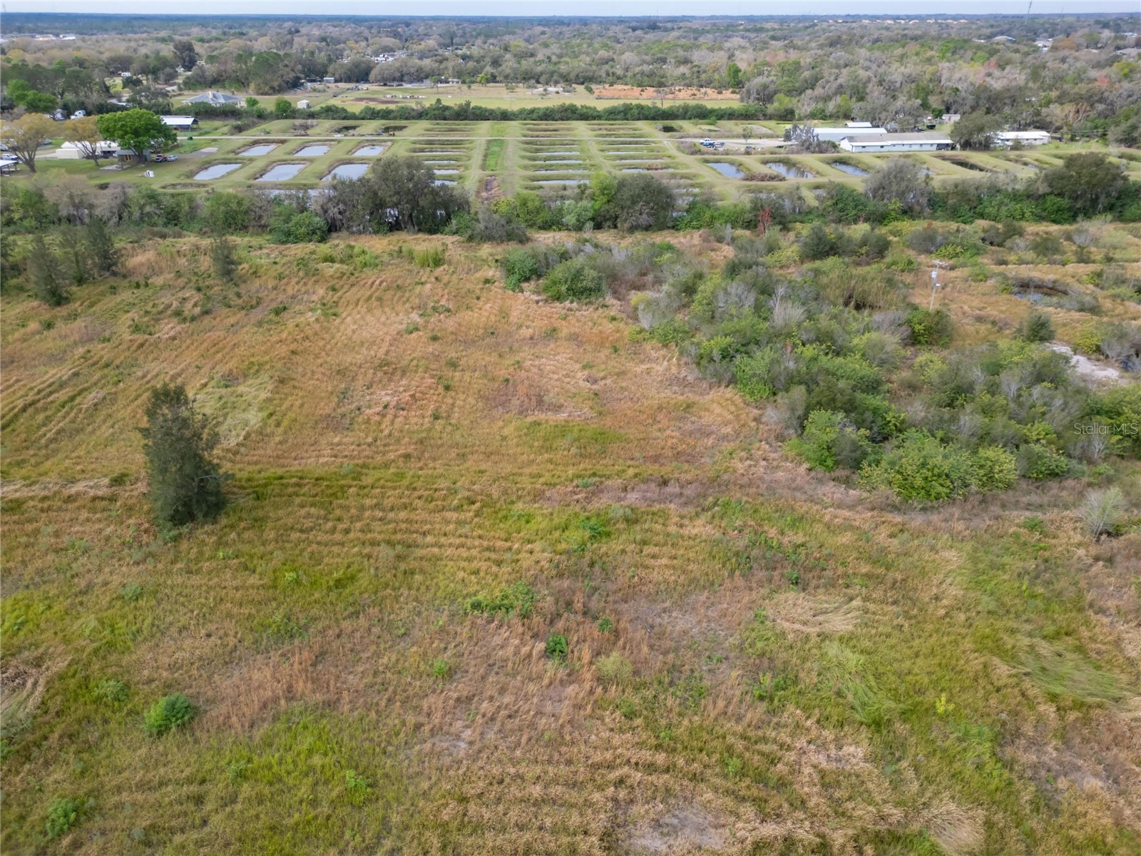 5441 Janes Drive Wimauma FL 33598 T3505957 image8