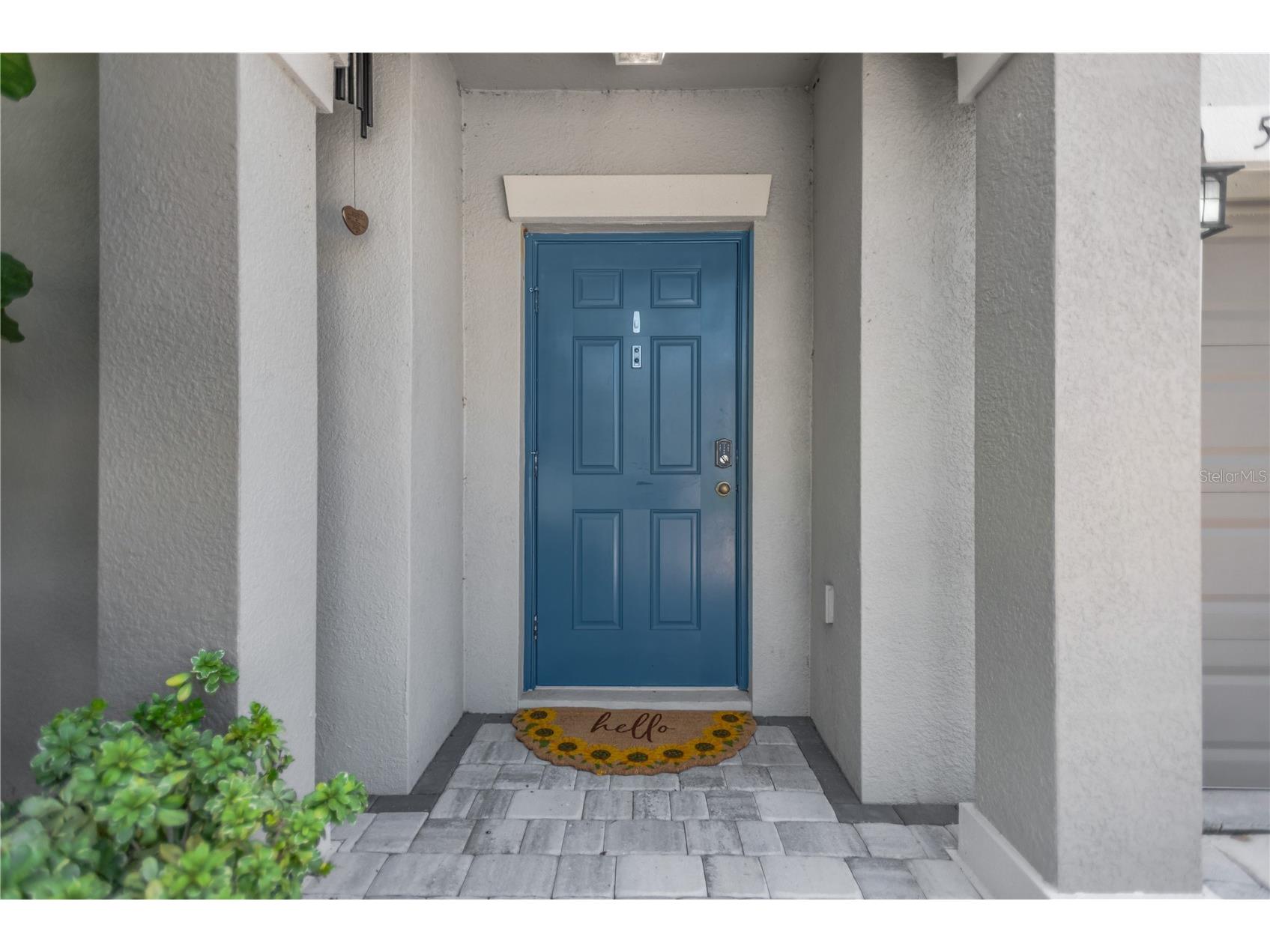 5441 Rainwood Meadows Drive Apollo Beach FL 33572 O6395767 image5