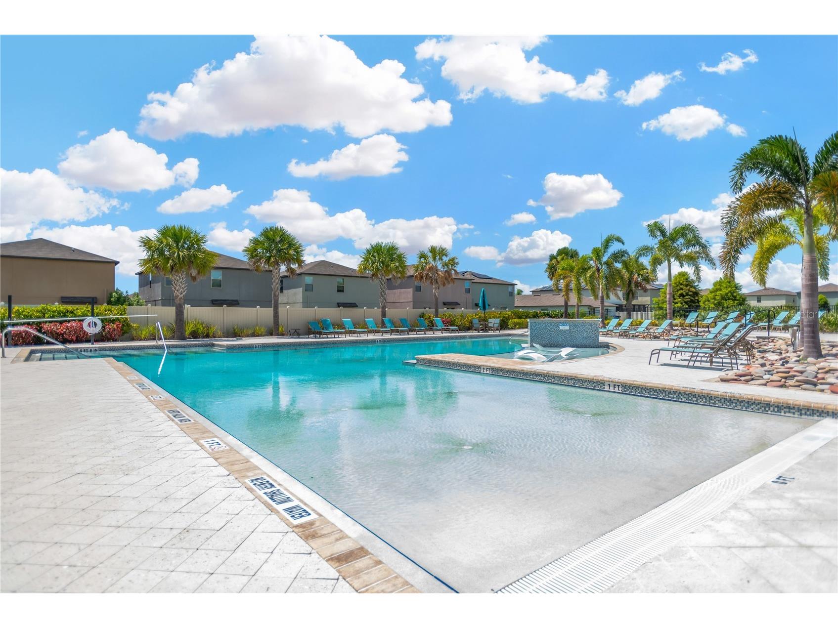 5441 Rainwood Meadows Drive Apollo Beach FL 33572 O6395767 image6