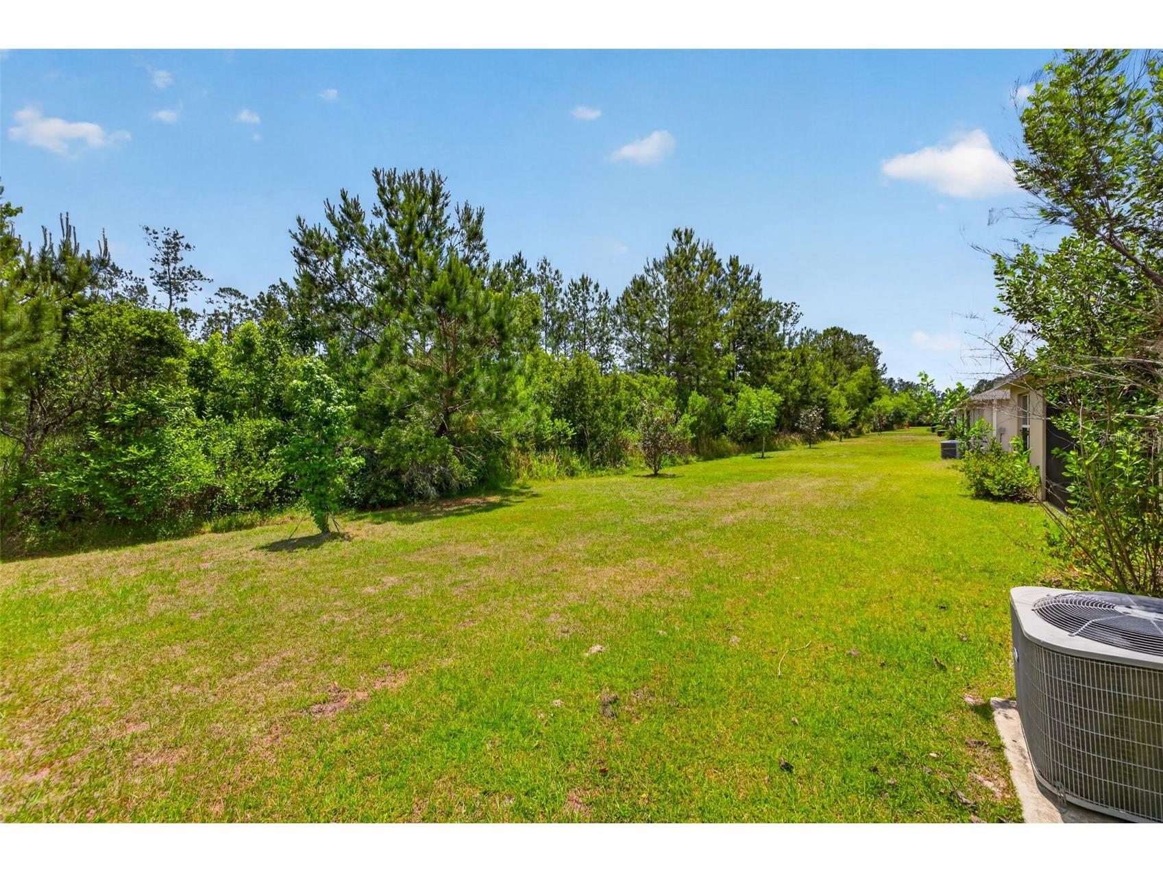 5442 Diantha Way Brooksville FL 34604 TB8518329 image18