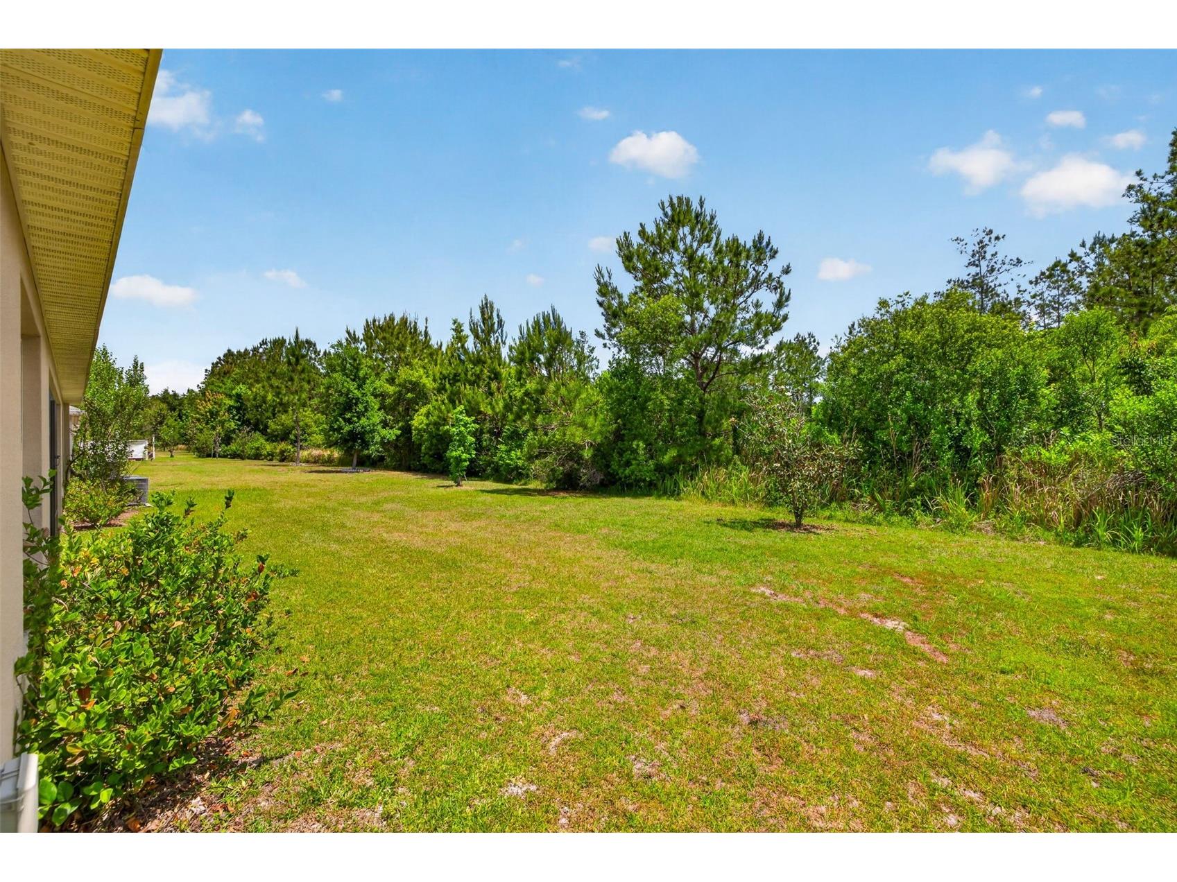 5442 Diantha Way Brooksville FL 34604 TB8518385 image20