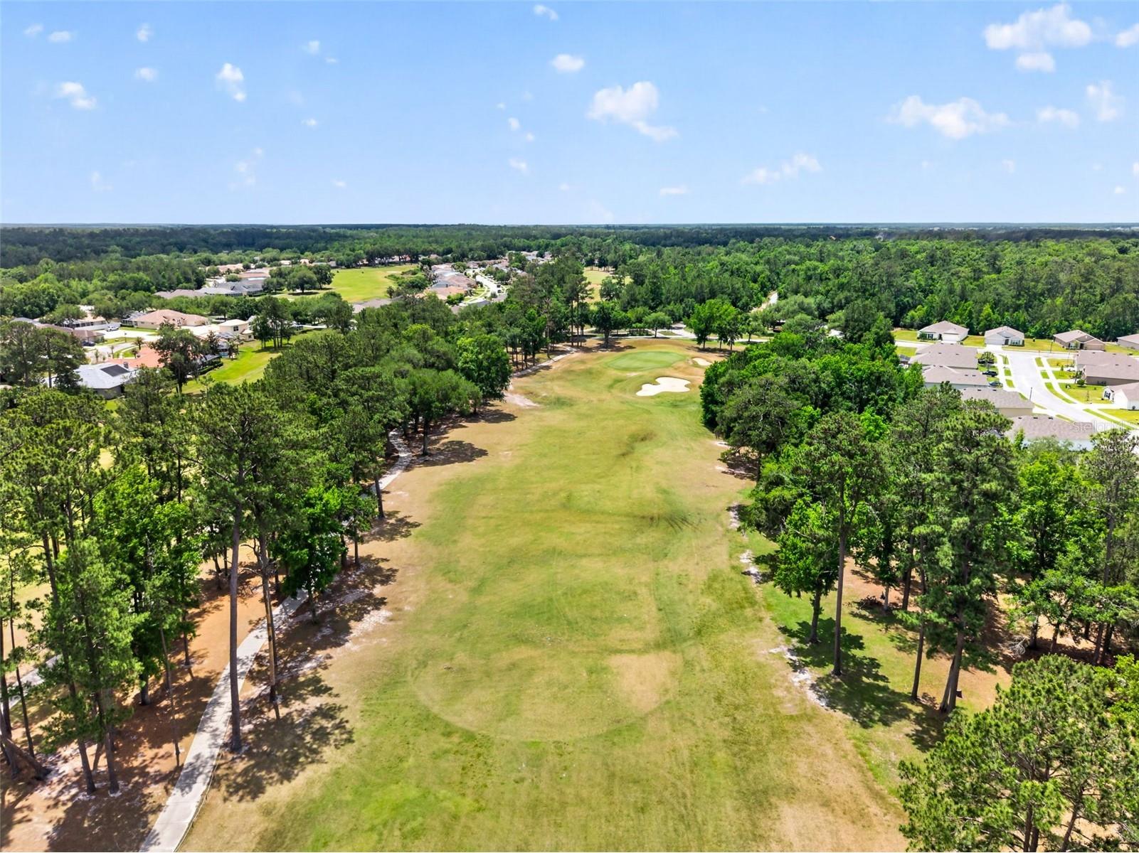 5442 Diantha Way Brooksville FL 34604 TB8518385 image27
