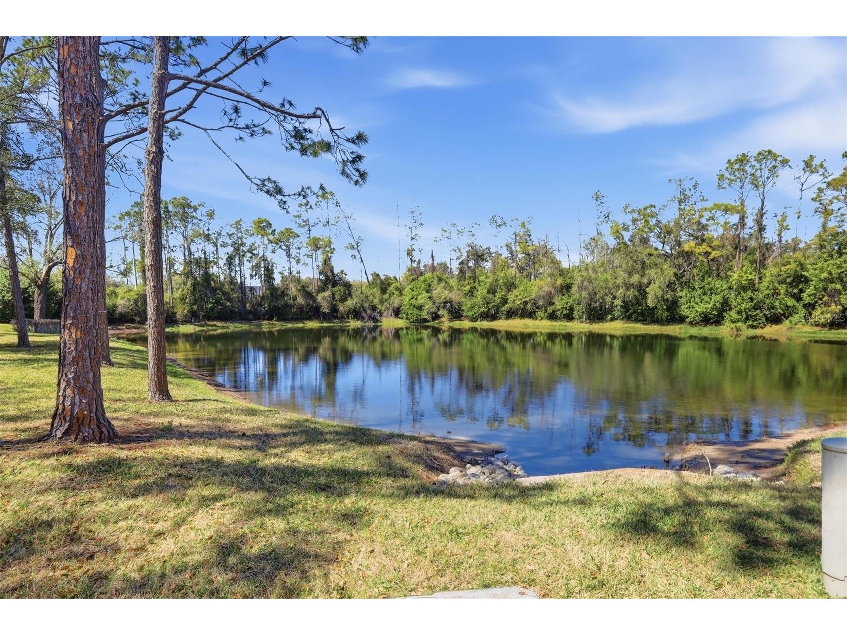5442 Fair Oaks Street #12C Bradenton FL 34203 A4679499 image27
