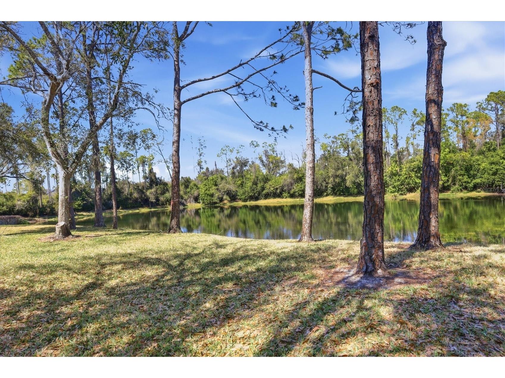 5442 Fair Oaks Street #12C Bradenton FL 34203 A4679499 image28