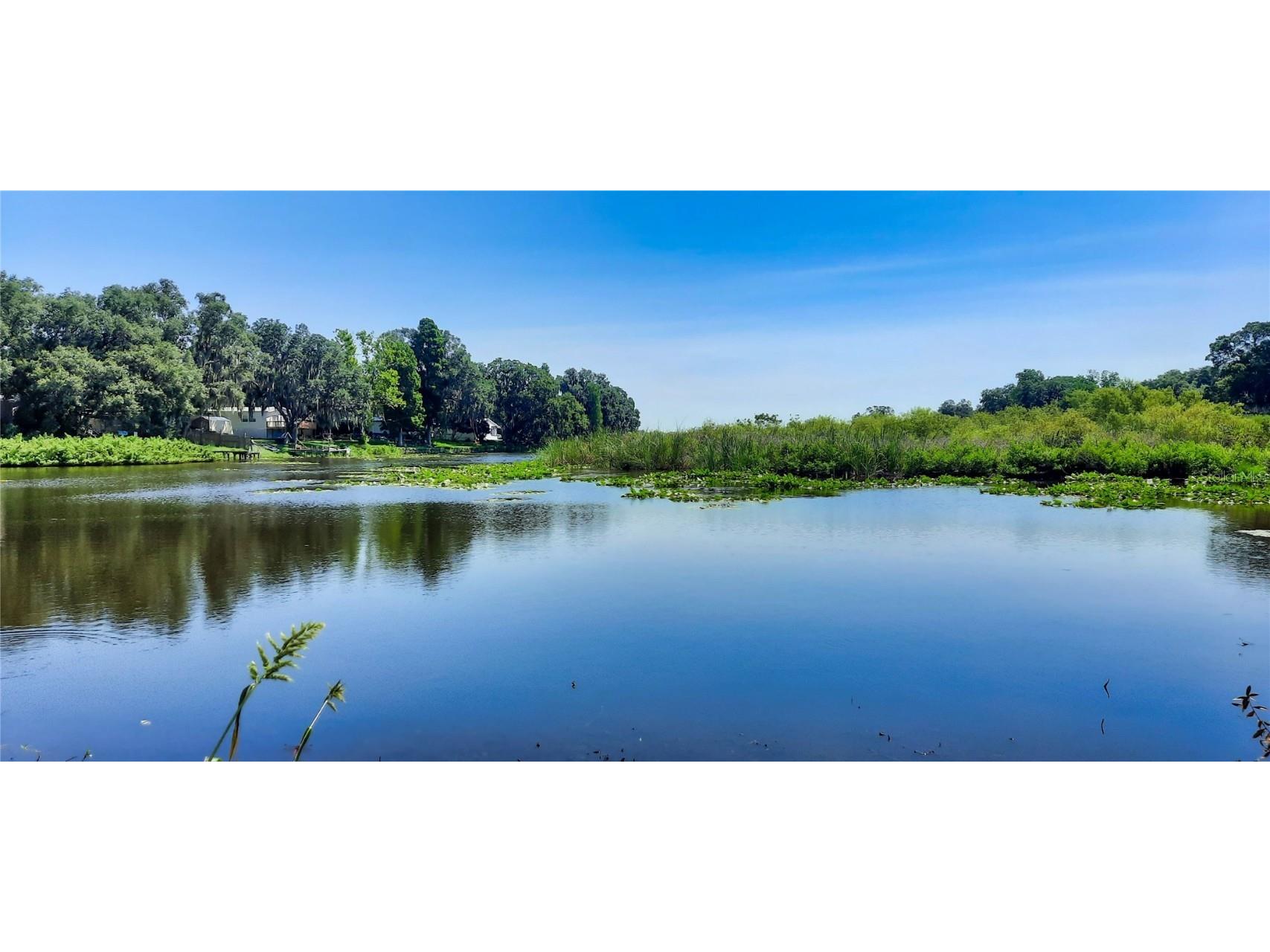 5442 Mount Olive Road Polk City FL 33868 - Mud Lake O6031997 image1