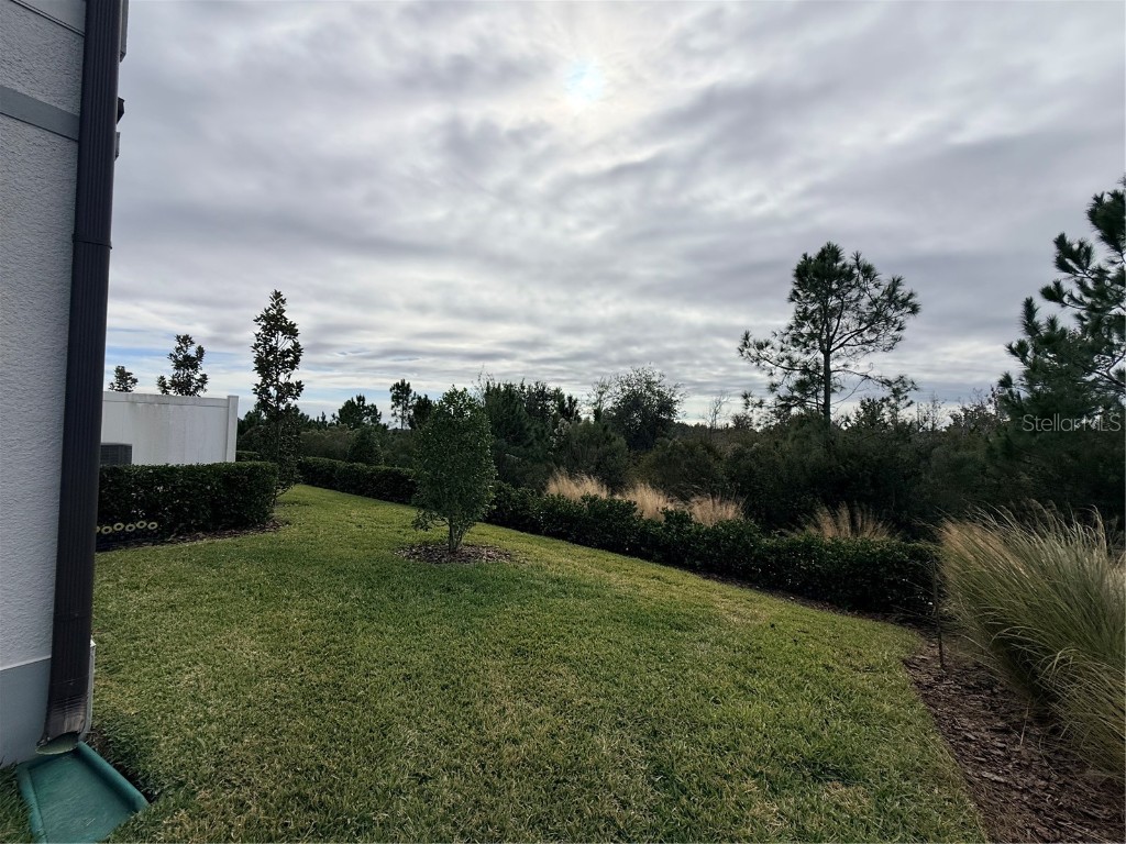 5443 Elmview Crossing Wesley Chapel FL 33545 TB8455098 image37