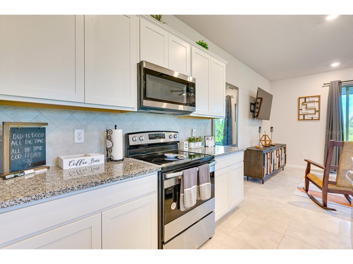 5443 Elmview Crossing Wesley Chapel FL 33545 TB8525484 image11